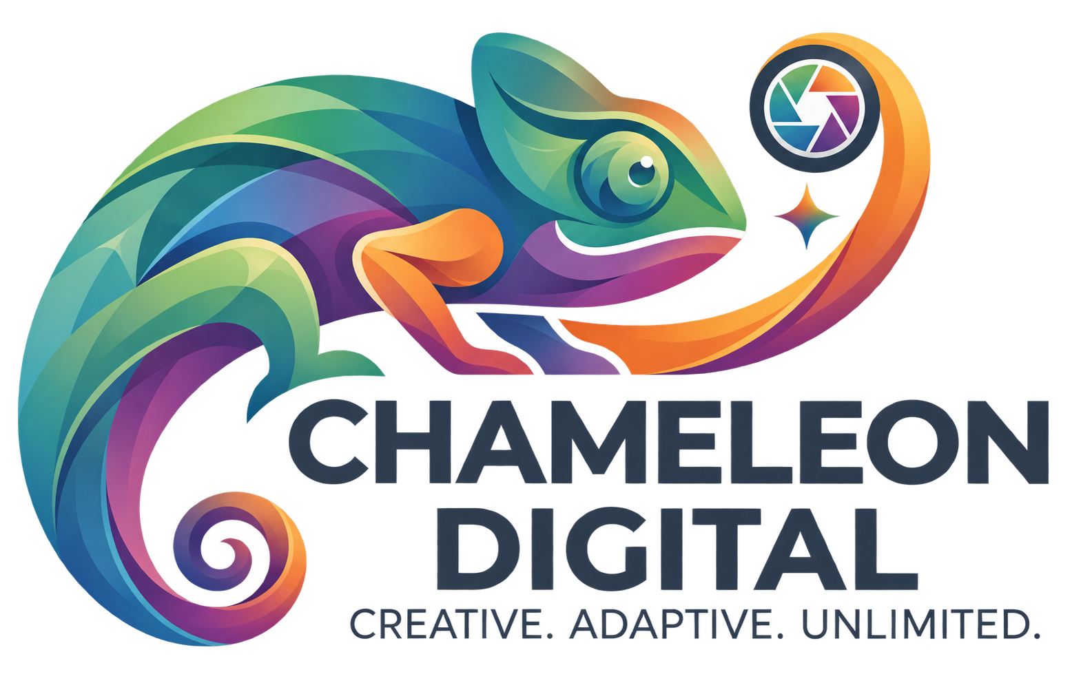 Colourful chameleon company logo supplied by Chameleon Digital